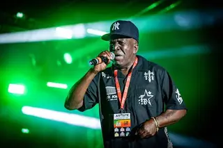 Image 2 accompanying “More Than 20,000 Celebrate Reggae Therapy Festival in Martinique”