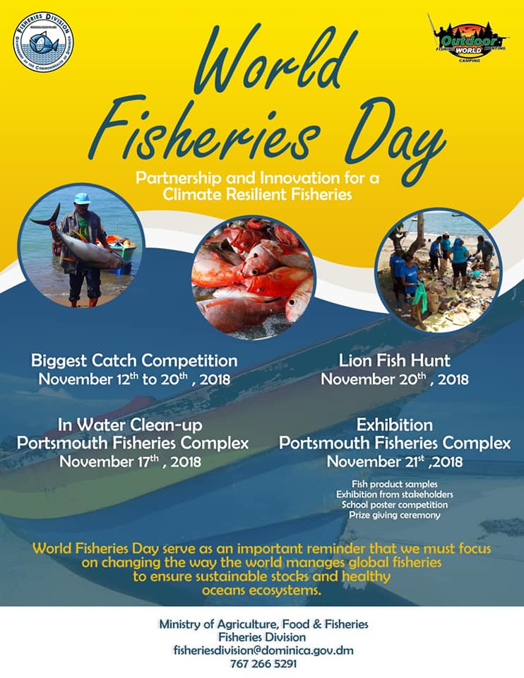 World Fisheries Day Activities Announced