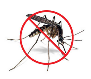  Checklist For Destroying Mosquito Breeding