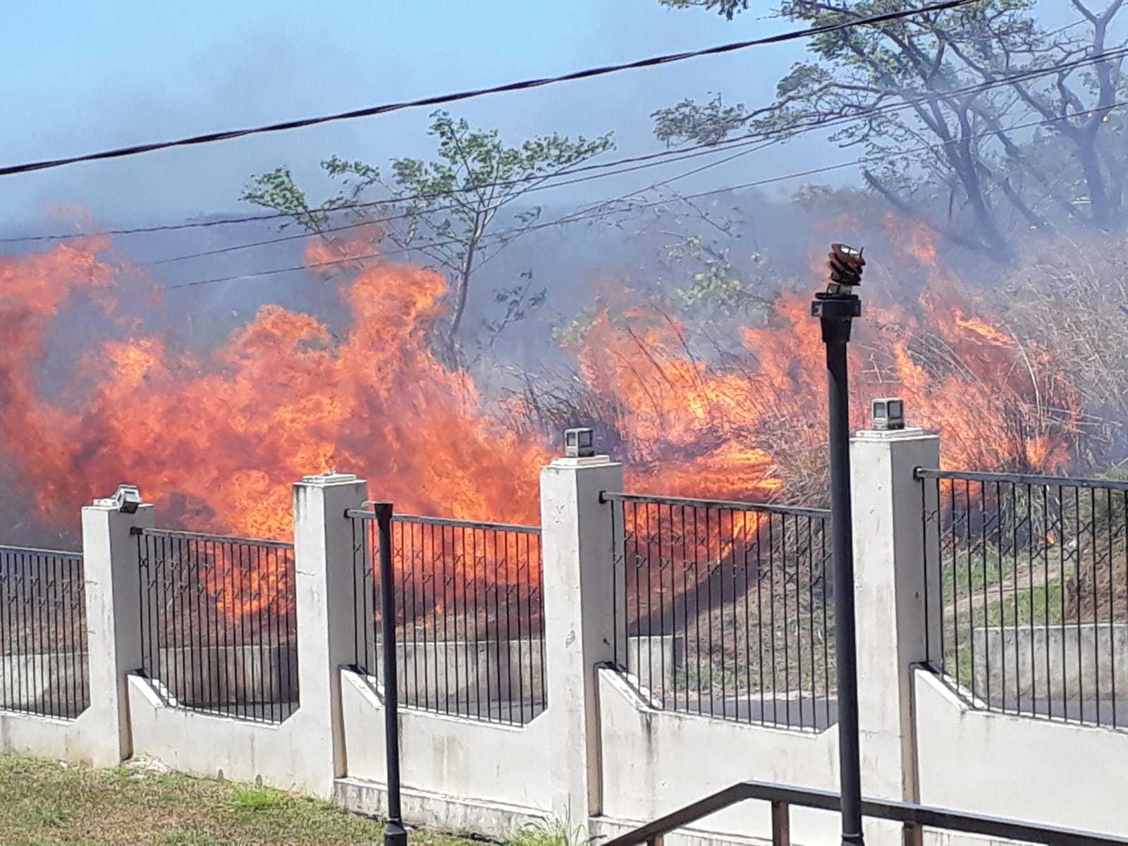 Bush Fire Reported Near the Dominica State College