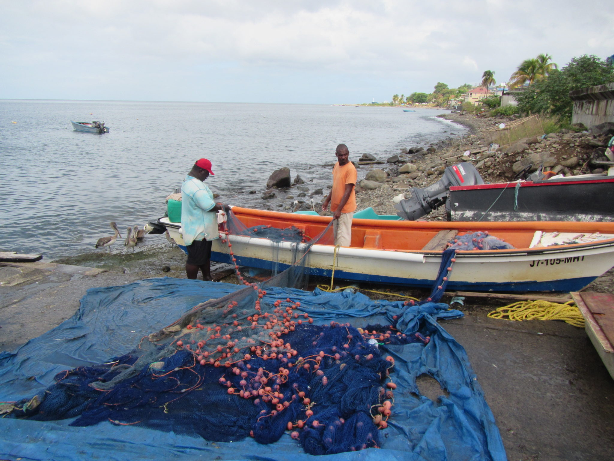 Fisheries Sector in Caribbean is the Most Vulnerable in the World to Climate Change