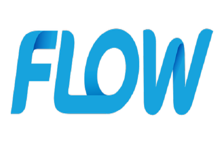 Flow Christmas Promotion