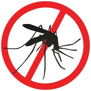Dominica Observes Mosquito Awareness Week 2019
