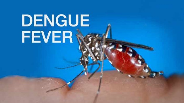 Growing Number of Dengue Cases