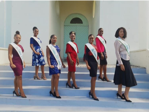 PLANS ARE WELL ON THE WAY FOR A SUCCESSFUL STAGING OF THE MISS DOMINICA 2020 PAGEANT