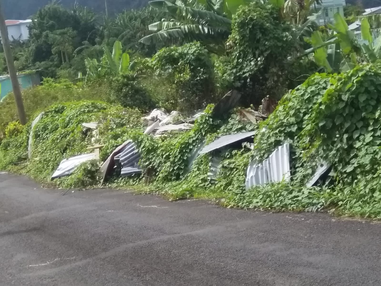 Dominica Red Cross Community Clean-up in Boetica & Delices