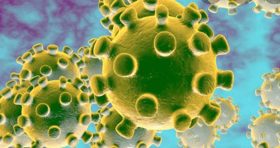 Breaking News: World Health Organization declares that the coronavirus is a pandemic