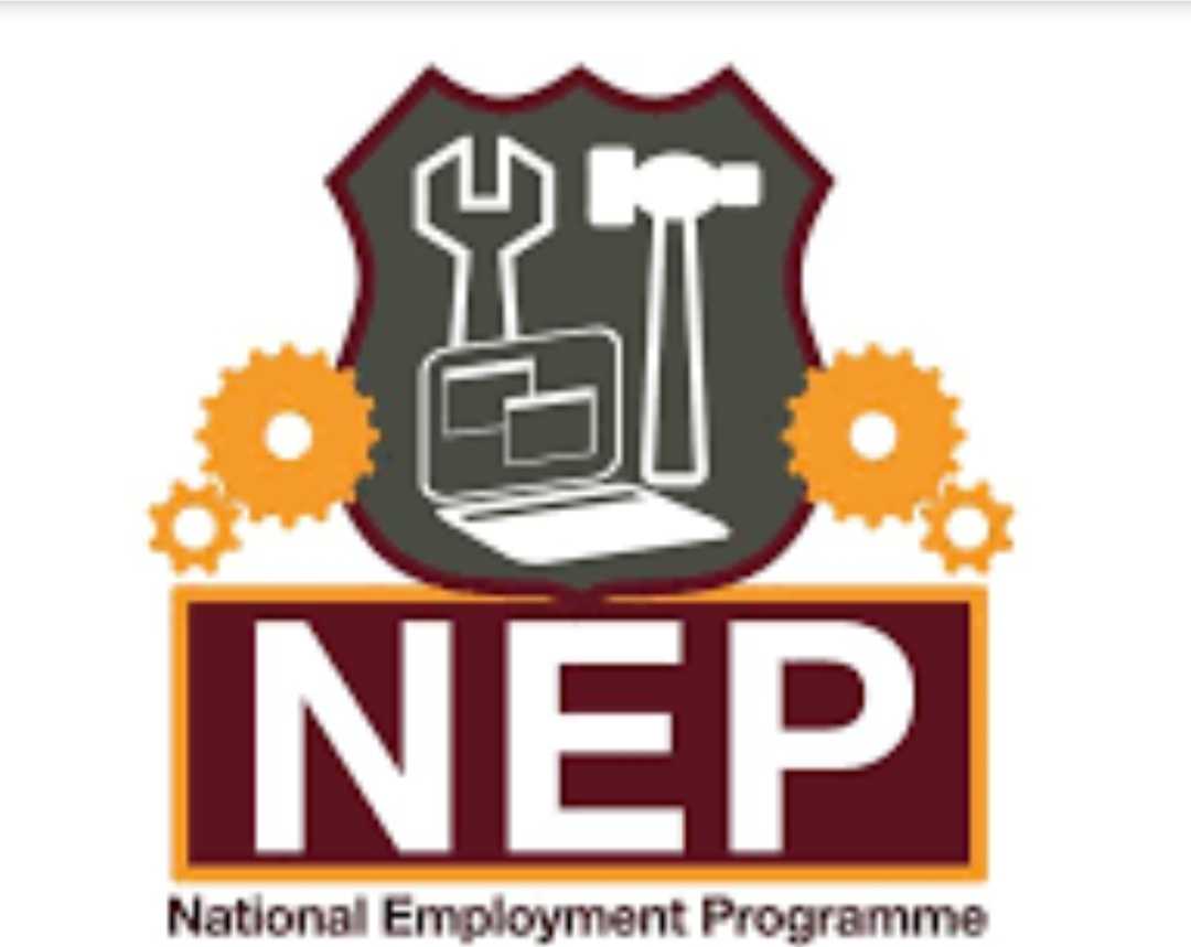  NEP Undergoes Restructuring, Credited For Significant Contribution To Socioeconomic Development