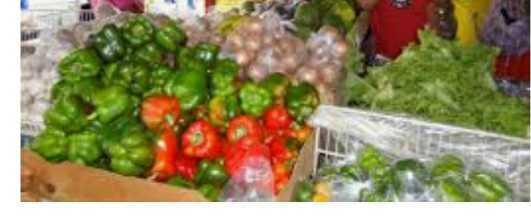 Dominica Manufacturers Association facilitates supply and purchase of fresh produce and local products