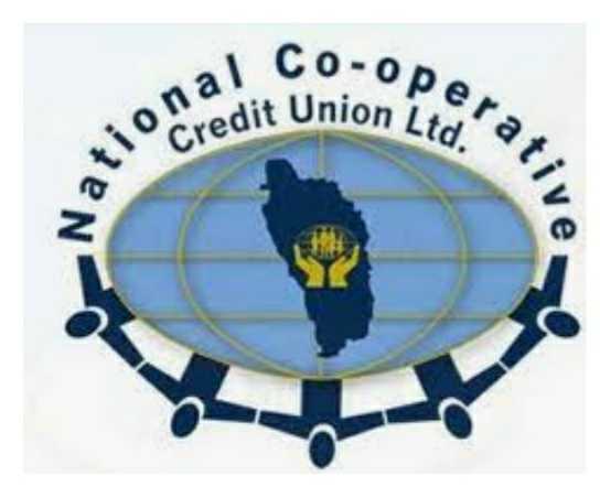 Credit unions provide  COVID-19 relief