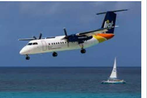  LIAT shareholders reach agreement to sell 3 planes; airline could fly again in 90 days