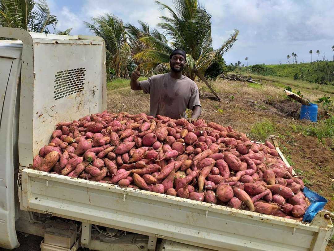  Featured video:  28 year old Lenny Aubrey, hard working farmer of Calibishie