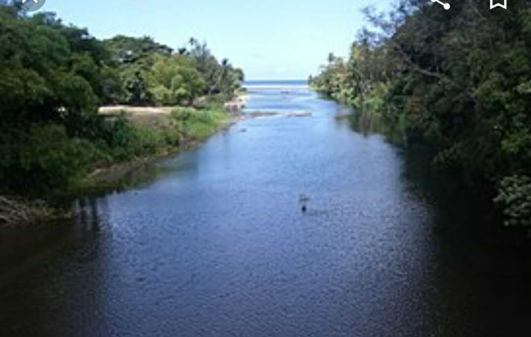 Mysterious Substance In Layou River Under Investigation