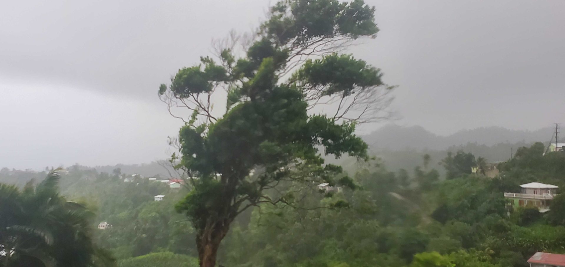 WEATHER UPDATE: A FLOOD WATCH IS IN EFFECT FOR DOMINICA UNTIL 2PM SUNDAY 30th AUGUST, 2020