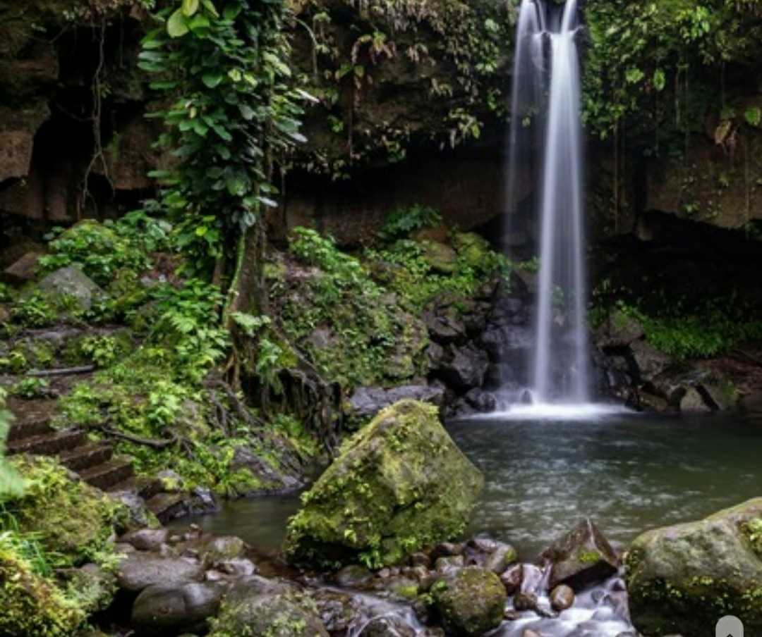 “Managed Experience” for visitors to Dominica