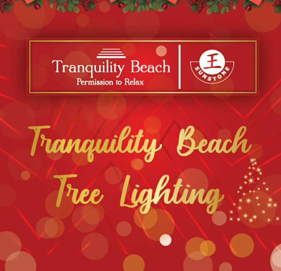 ‘Tranquility Beach Christmas Tree Lighting’ on Salisbury Beachfront