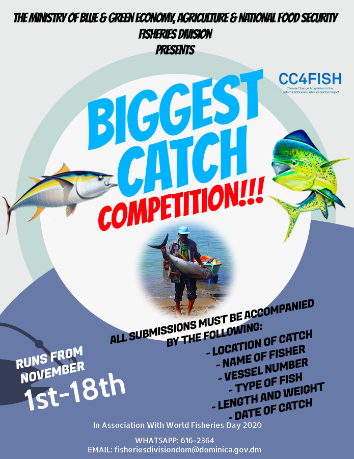 Ministry of Blue & Green Economy Biggest Catch Competition
