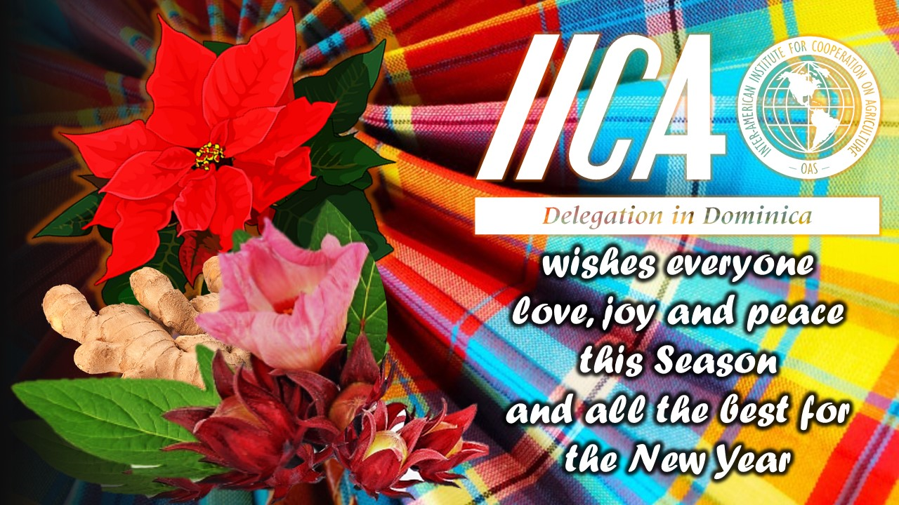 Season’s Greetings from IICA