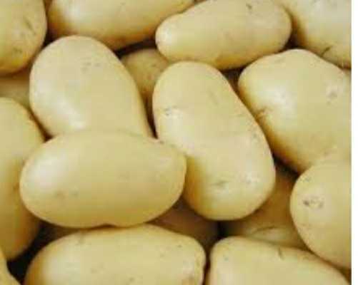 ANNOUNCEMENT: Division Of Agriculture Update On White Potato