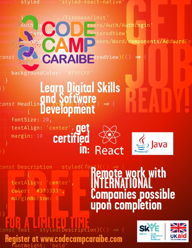 Learn Digital and Software Development with possible remote work with international companies