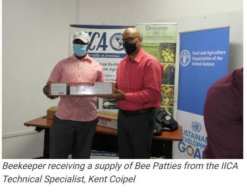 FAO and IICA Partnered to Strengthen the Production and Market Access Capacity of the Dominica Beekeepers