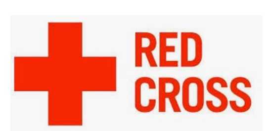  La Soufrière volcanic eruptions: Red Cross warns of immediate and long-term humanitarian needs