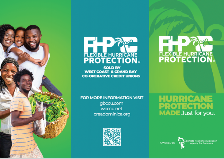  FLEXIBE HURRICANE PROTECTION LAUNCHED