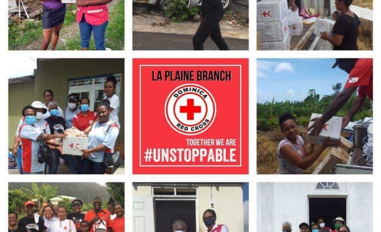 World Red Cross and Red Crescent Day 2021: Together we are #unstoppable