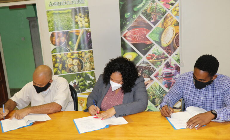 Ministry of Agriculture Signs EC$359,000 contract with STEWCO Construction Company for the Rehabilitation of the North-East Agricultural Region Offices