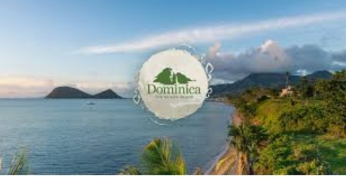 Discover Dominica Authority continues Professional Development Workshop Series for Tourism Taxi Service Providers and Tour Guides