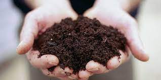 It’s alive! Soil is much more than you think