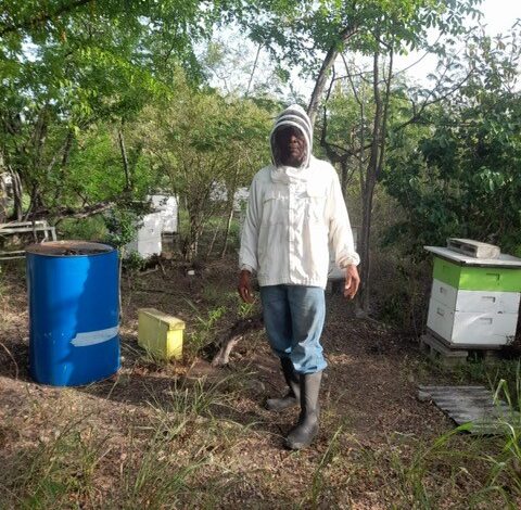 “Busy” uses his beekeeping business to benefit the community in Dominica