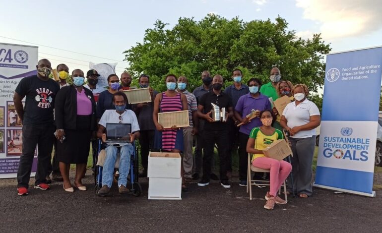 FAO and IICA keeps buzzing with training of beekeepers in Antigua