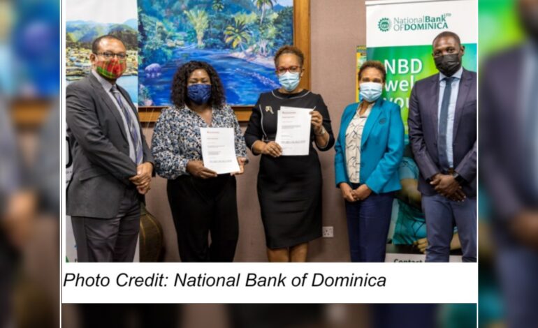 DAIC Partners with DSIK to Increase Access to Finance for MSMEs in Dominica