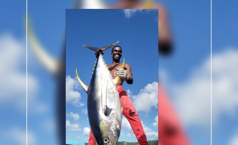  Sustaining the Tuna Value Chain in Grenada