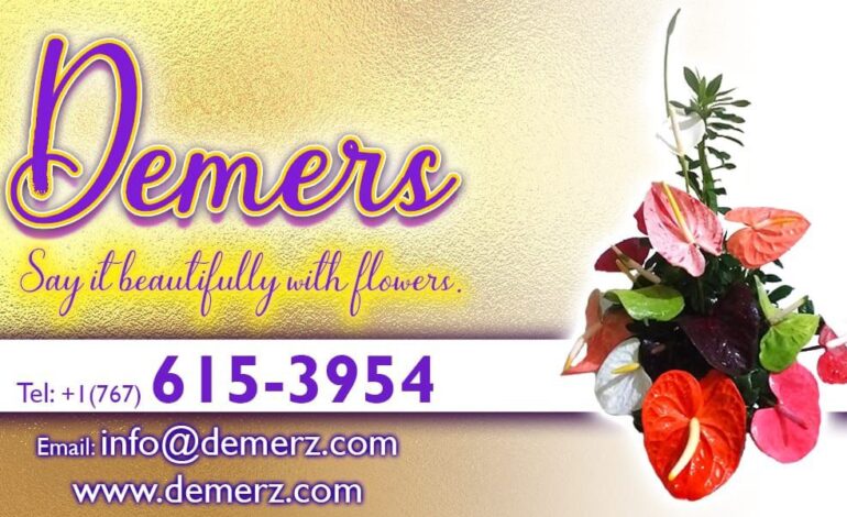 Demers is offering special prices on Floral Combos this Valentines Day 