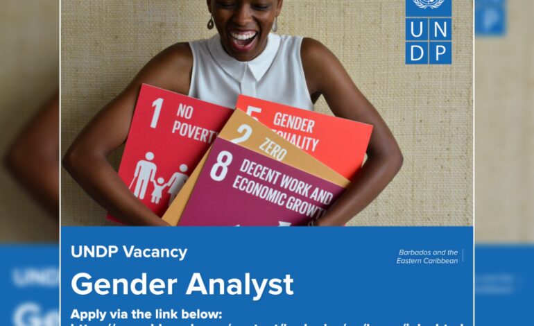 UNDP VACANCY: Gender Analyst