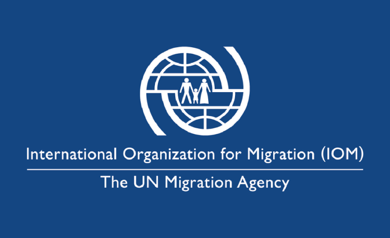  Discrimination and Racism Against Third Country Nationals Fleeing Ukraine Must End: IOM Director General