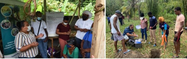  Caribbean communities receive critical climate smart agriculture and climate risk managementtraining