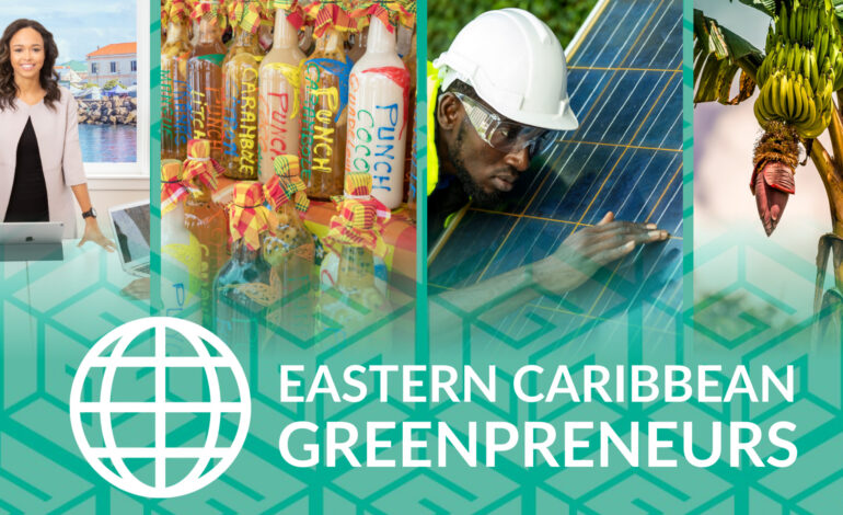 Call for Applications! Eastern Caribbean Green Entrepreneurship Accelerator Programme Interest-free Loan Component