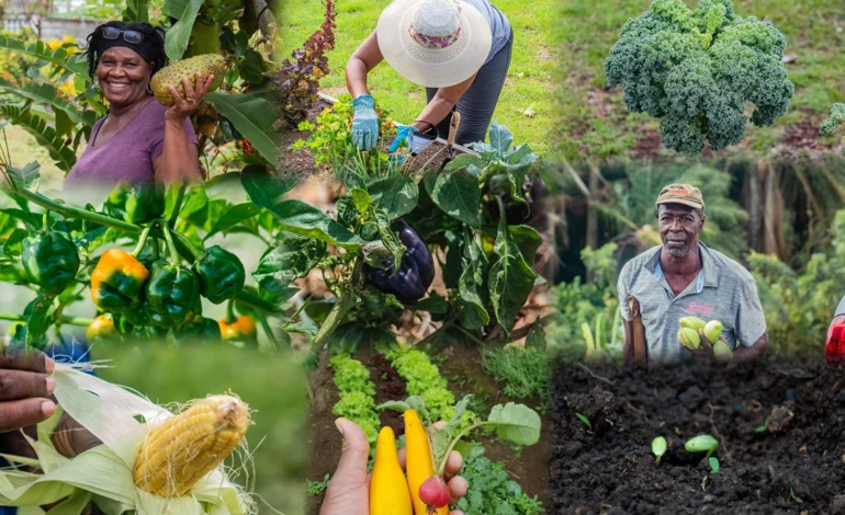 OECS Hosts Special Meeting of the Council of Ministers: Agriculture