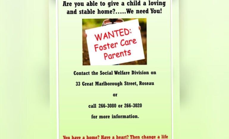 WANTED: Foster Care Parents