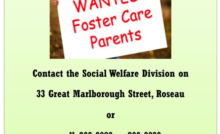 Announcement: Looking for Foster Care Parents