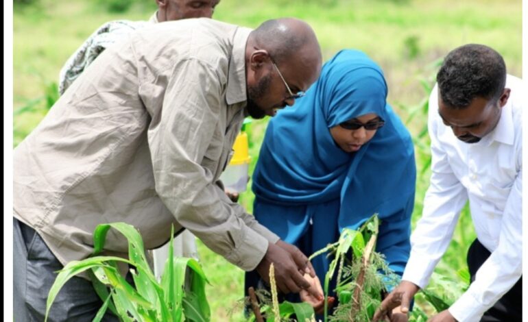Managing Pests and Preserving Plant Health is Key to Ensuring Food Security