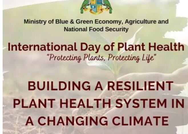 Tabletop Simulation Exercise to resolve plant health issues in Dominica