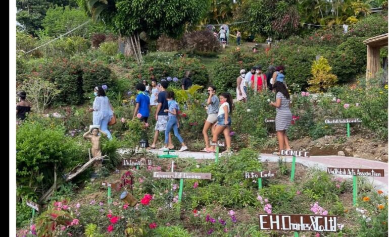  The Giraudel-Eggleston Flower Show Launch Excites Attendees Ahead of October’s Main Flower Show