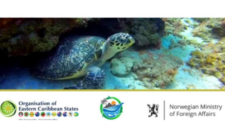 OECS Commemorates World Oceans Day – Supporting the Vision for A Blue Economy