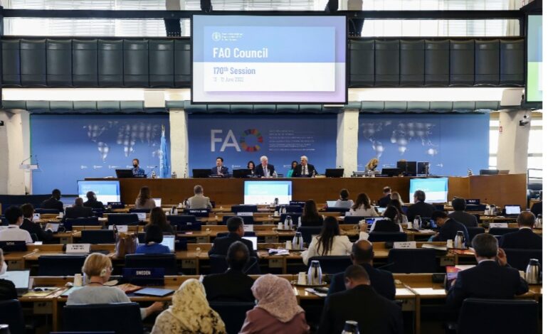  FAO Council endorses new 10-year strategies on Climate Change and on Science and Innovation