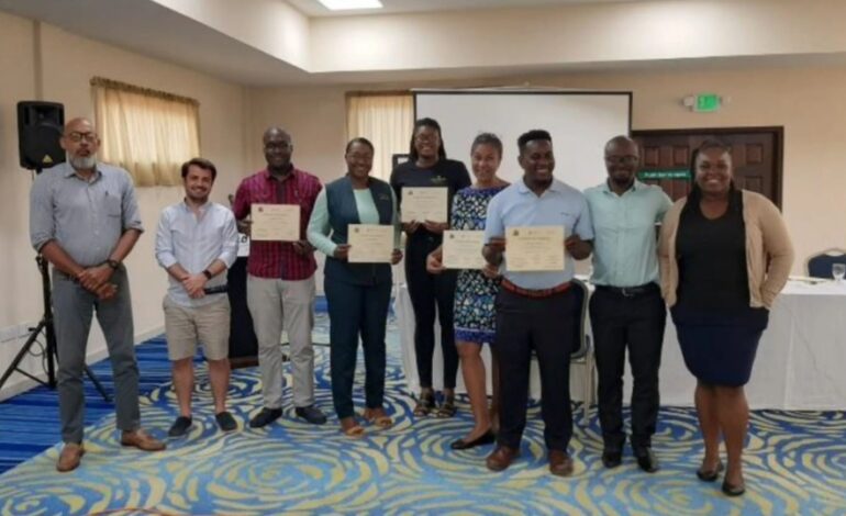 Carbon Pricing Trainings in OECS Territories, Grenada and Saint Lucia