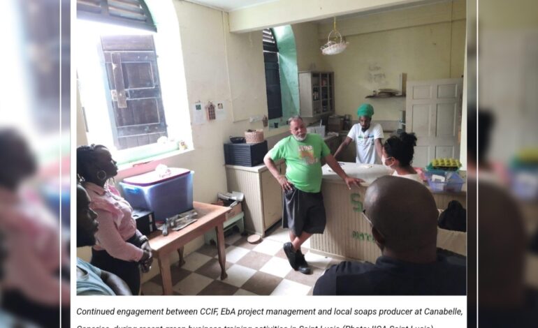  Through the IICA-CBF EbA project, green business training builds capacity to improve livelihood opportunities in rural communities in Dominica and Saint Lucia￼